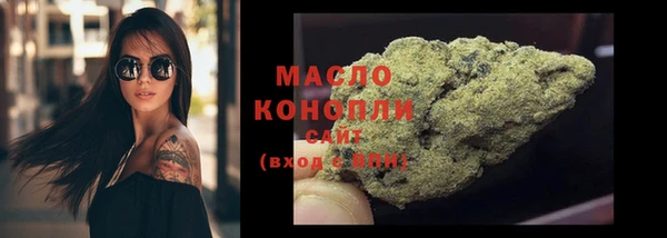 мет Елабуга